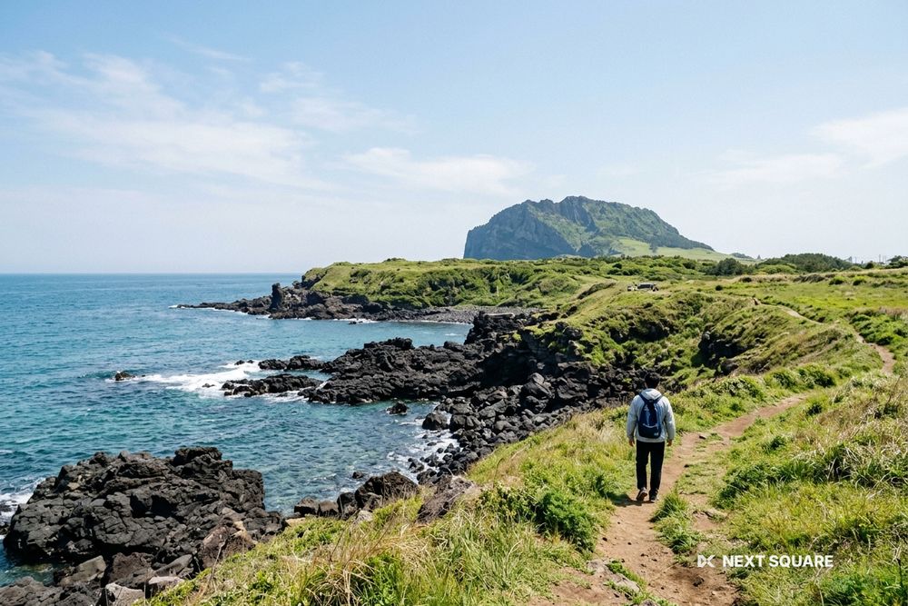 済州島の黒い溶岩の海岸と青い海のイメージ